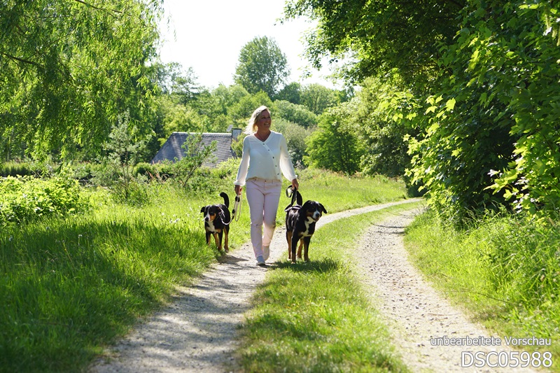 Spaziergang mit Hund trotz Asthma